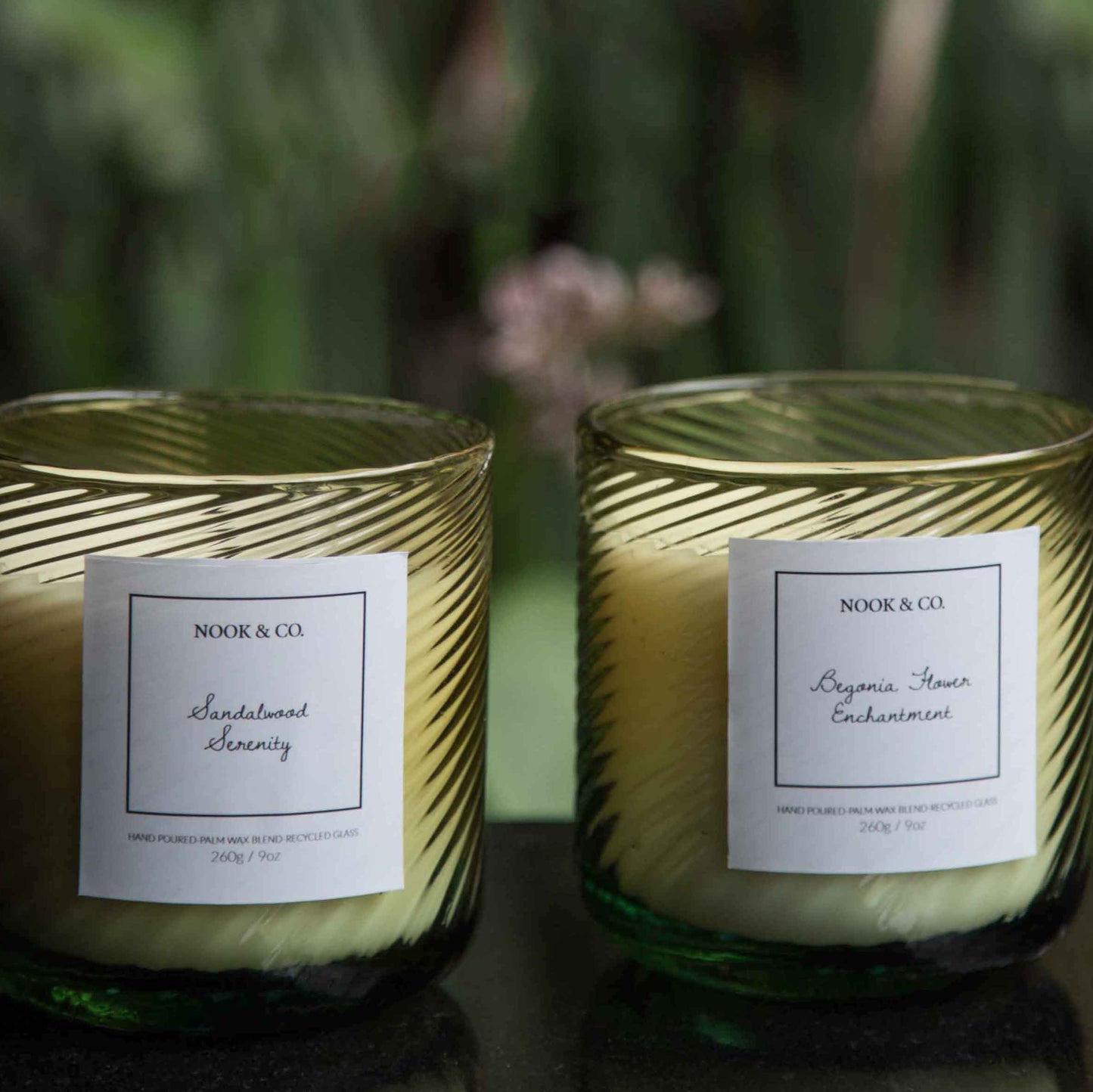 Amazoyna Candle Limited Edition - Glass