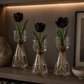 Verna Vase