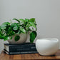 Konos Vase